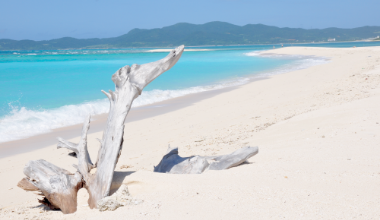 光と風がめぐる、心地よい空間。 イメージ写真