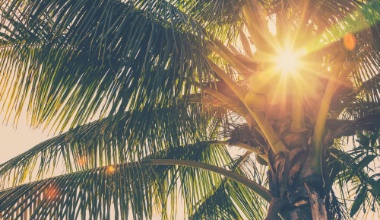 光と風がめぐる、心地よい空間。 イメージ写真